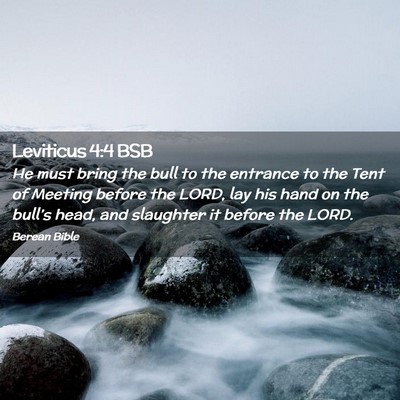 Picture 02 - Leviticus 4:4 BSB - He must bring the bull to the entrance to the - Bible Verse Picture
