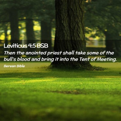 Picture 02 - Leviticus 4:5 BSB - Then the anointed priest shall take some of the - Bible Verse Picture