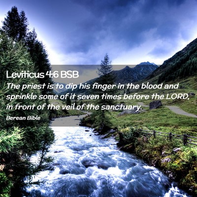 Picture 02 - Leviticus 4:6 BSB - The priest is to dip his finger in the blood and - Bible Verse Picture