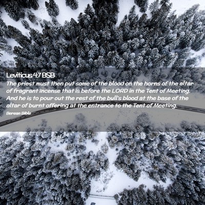 Picture 02 - Leviticus 4:7 BSB - The priest must then put some of the blood on the - Bible Verse Picture