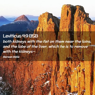 Picture 02 - Leviticus 4:9 BSB - both kidneys with the fat on them near the loins, - Bible Verse Picture
