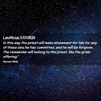Picture 02 - Leviticus 5:13 BSB - In this way the priest will make atonement for - Bible Verse Picture
