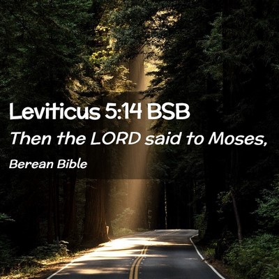 Picture 02 - Leviticus 5:14 BSB - Then the LORD said to - Bible Verse Picture