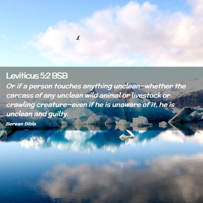 Picture 02 - Leviticus 5:2 BSB - Or if a person touches anything unclean—whether - Bible Verse Picture