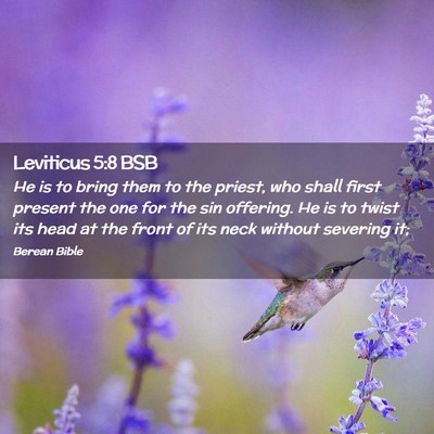 Picture 02 - Leviticus 5:8 BSB - He is to bring them to the priest, who shall - Bible Verse Picture