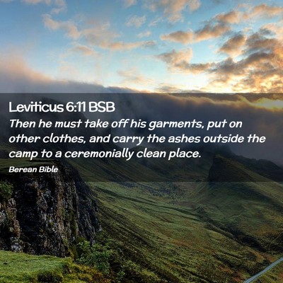 Picture 02 - Leviticus 6:11 BSB - Then he must take off his garments, put on other - Bible Verse Picture