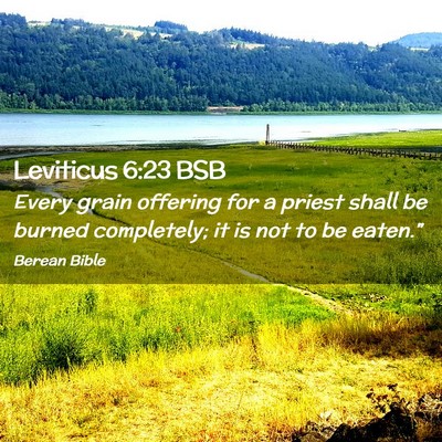 Picture 02 - Leviticus 6:23 BSB - Every grain offering for a priest shall be burned - Bible Verse Picture