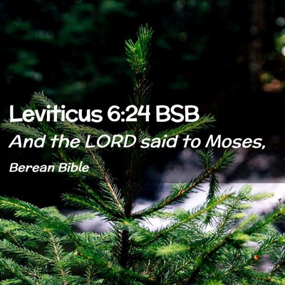 Picture 02 - Leviticus 6:24 BSB - And the LORD said to - Bible Verse Picture