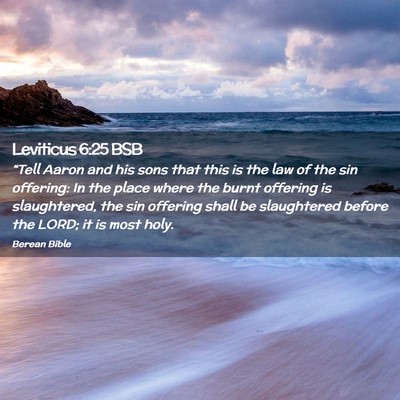 Picture 02 - Leviticus 6:25 BSB - “Tell Aaron and his sons that this is the law - Bible Verse Picture