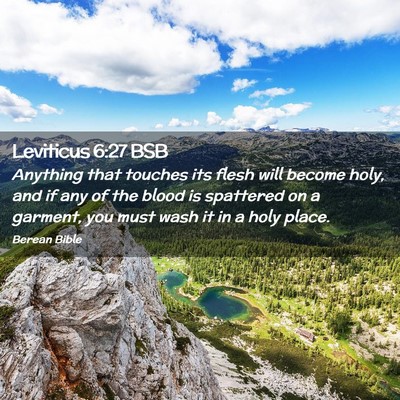 Picture 02 - Leviticus 6:27 BSB - Anything that touches its flesh will become holy, - Bible Verse Picture