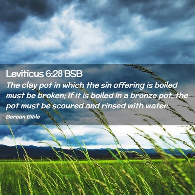 Picture 02 - Leviticus 6:28 BSB - The clay pot in which the sin offering is boiled - Bible Verse Picture