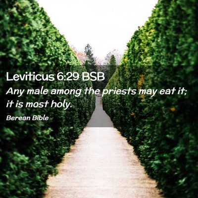 Picture 02 - Leviticus 6:29 BSB - Any male among the priests may eat it; it is most - Bible Verse Picture