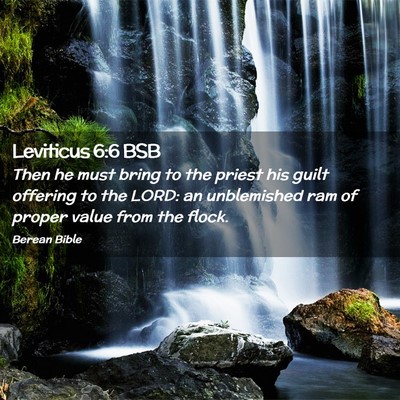 Picture 02 - Leviticus 6:6 BSB - Then he must bring to the priest his guilt - Bible Verse Picture