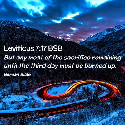 Picture 02 - Leviticus 7:17 BSB - But any meat of the sacrifice remaining until the - Bible Verse Picture