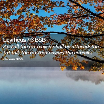 Picture 02 - Leviticus 7:3 BSB - And all the fat from it shall be offered: the fat - Bible Verse Picture