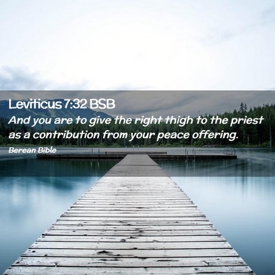 Picture 02 - Leviticus 7:32 BSB - And you are to give the right thigh to the priest - Bible Verse Picture