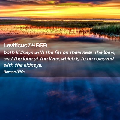 Picture 02 - Leviticus 7:4 BSB - both kidneys with the fat on them near the loins, - Bible Verse Picture