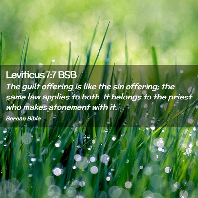 Picture 02 - Leviticus 7:7 BSB - The guilt offering is like the sin offering; the - Bible Verse Picture