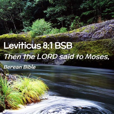 Picture 02 - Leviticus 8:1 BSB - Then the LORD said to - Bible Verse Picture