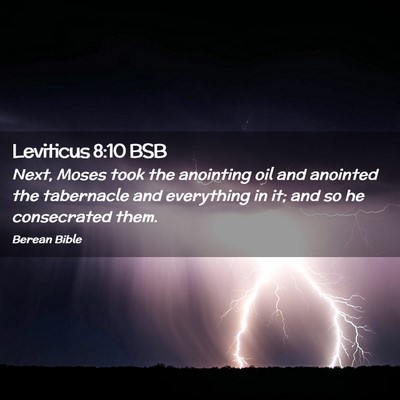 Picture 02 - Leviticus 8:10 BSB - Next, Moses took the anointing oil and anointed - Bible Verse Picture