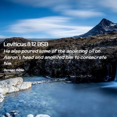 Picture 02 - Leviticus 8:12 BSB - He also poured some of the anointing oil on - Bible Verse Picture
