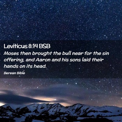 Picture 02 - Leviticus 8:14 BSB - Moses then brought the bull near for the sin - Bible Verse Picture
