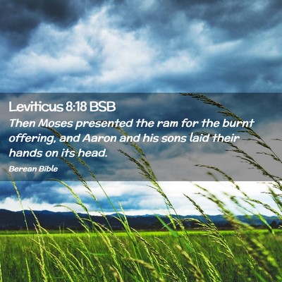 Picture 02 - Leviticus 8:18 BSB - Then Moses presented the ram for the burnt - Bible Verse Picture