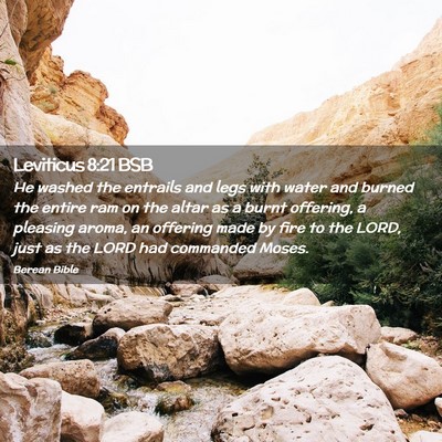 Picture 02 - Leviticus 8:21 BSB - He washed the entrails and legs with water and - Bible Verse Picture