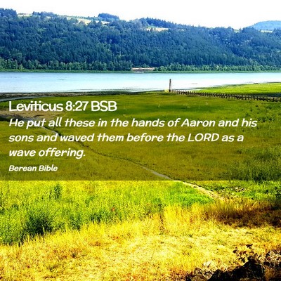 Picture 02 - Leviticus 8:27 BSB - He put all these in the hands of Aaron and his - Bible Verse Picture