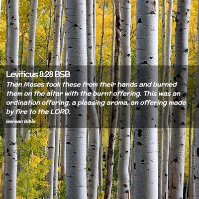 Picture 02 - Leviticus 8:28 BSB - Then Moses took these from their hands and burned - Bible Verse Picture