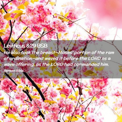 Picture 02 - Leviticus 8:29 BSB - He also took the breast—Moses’ portion of the - Bible Verse Picture
