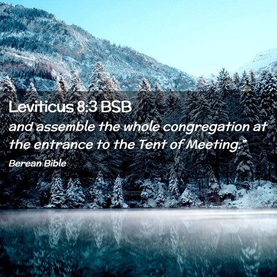 Picture 02 - Leviticus 8:3 BSB - and assemble the whole congregation at the - Bible Verse Picture