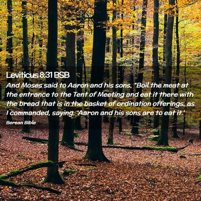 Picture 02 - Leviticus 8:31 BSB - And Moses said to Aaron and his sons, “Boil the - Bible Verse Picture