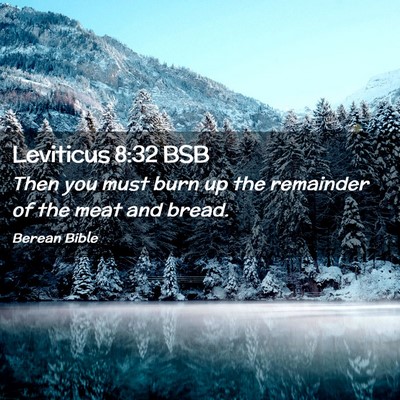 Picture 02 - Leviticus 8:32 BSB - Then you must burn up the remainder of the meat - Bible Verse Picture