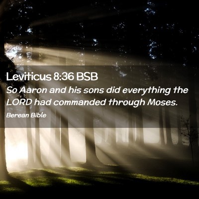 Picture 02 - Leviticus 8:36 BSB - So Aaron and his sons did everything the LORD had - Bible Verse Picture