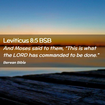 Picture 02 - Leviticus 8:5 BSB - And Moses said to them, “This is what the LORD - Bible Verse Picture