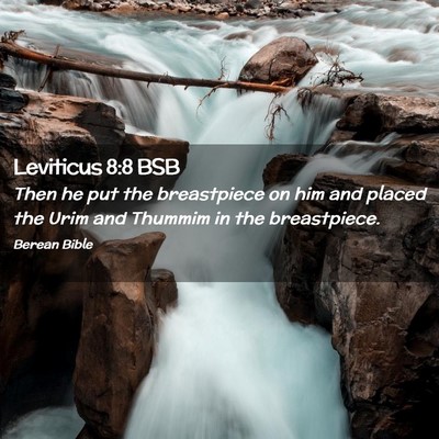Picture 02 - Leviticus 8:8 BSB - Then he put the breastpiece on him and placed the - Bible Verse Picture