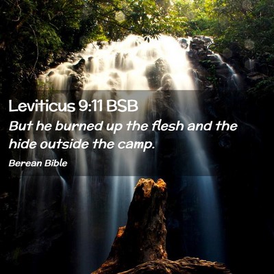 Picture 02 - Leviticus 9:11 BSB - But he burned up the flesh and the hide outside - Bible Verse Picture