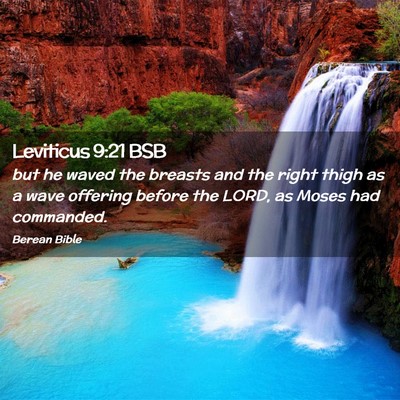 Picture 02 - Leviticus 9:21 BSB - but he waved the breasts and the right thigh as a - Bible Verse Picture