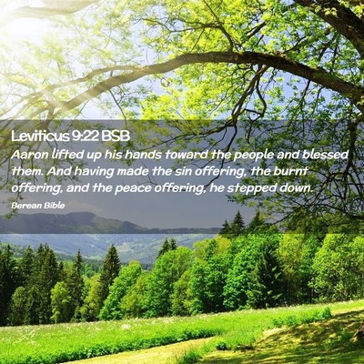 Picture 02 - Leviticus 9:22 BSB - Aaron lifted up his hands toward the people and - Bible Verse Picture