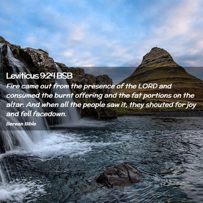 Picture 02 - Leviticus 9:24 BSB - Fire came out from the presence of the LORD and - Bible Verse Picture