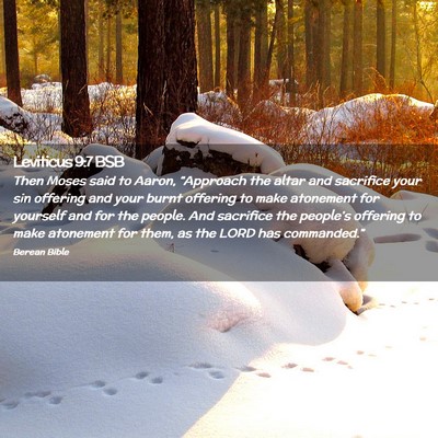 Picture 02 - Leviticus 9:7 BSB - Then Moses said to Aaron, “Approach the altar - Bible Verse Picture