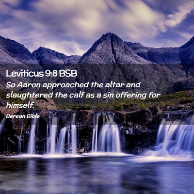 Picture 02 - Leviticus 9:8 BSB - So Aaron approached the altar and slaughtered the - Bible Verse Picture
