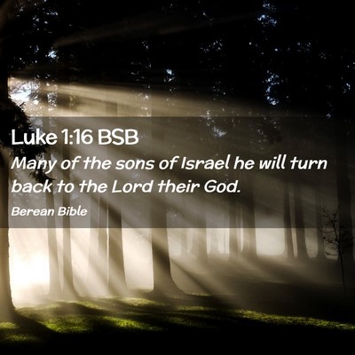 Picture 02 - Luke 1:16 BSB - Many of the sons of Israel he will turn back to - Bible Verse Picture