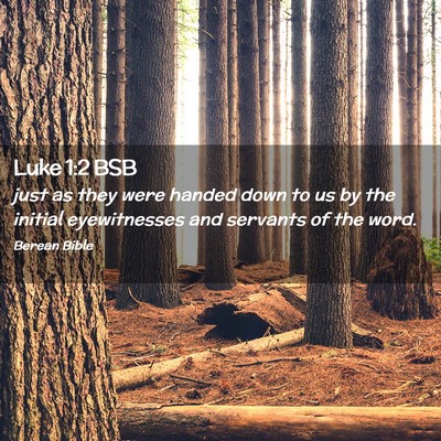 Picture 02 - Luke 1:2 BSB - just as they were handed down to us by the - Bible Verse Picture