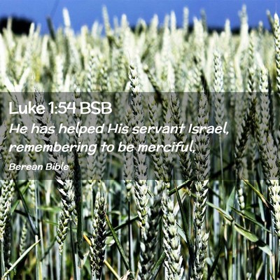 Picture 02 - Luke 1:54 BSB - He has helped His servant Israel, remembering to - Bible Verse Picture