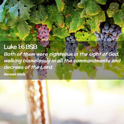 Picture 02 - Luke 1:6 BSB - Both of them were righteous in the sight of God, - Bible Verse Picture