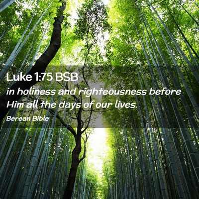 Picture 02 - Luke 1:75 BSB - in holiness and righteousness before Him all the - Bible Verse Picture