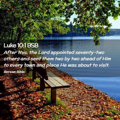 Picture 02 - Luke 10:1 BSB - After this, the Lord appointed seventy-two others - Bible Verse Picture