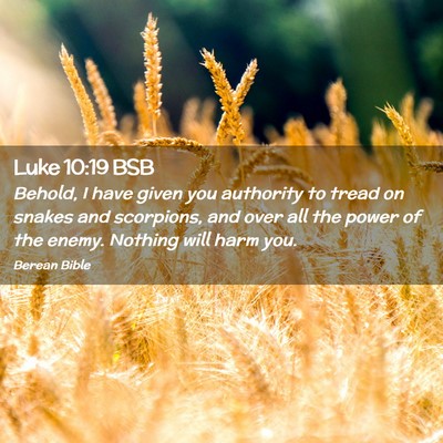 Picture 02 - Luke 10:19 BSB - Behold, I have given you authority to tread on - Bible Verse Picture